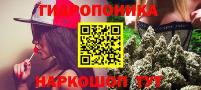 твердый Новозыбков